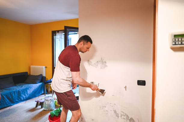 Best Crawl Space Mold Removal  in Gordon, GA