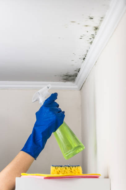 Crawl Space Mold Removal in Gordon, GA