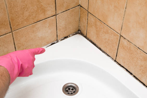 Best Home Mold Removal  in Gordon, GA